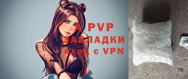 молекула духа Белоозёрский