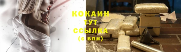 дмт Елизово