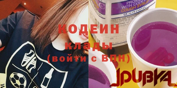 молекула духа Белоозёрский